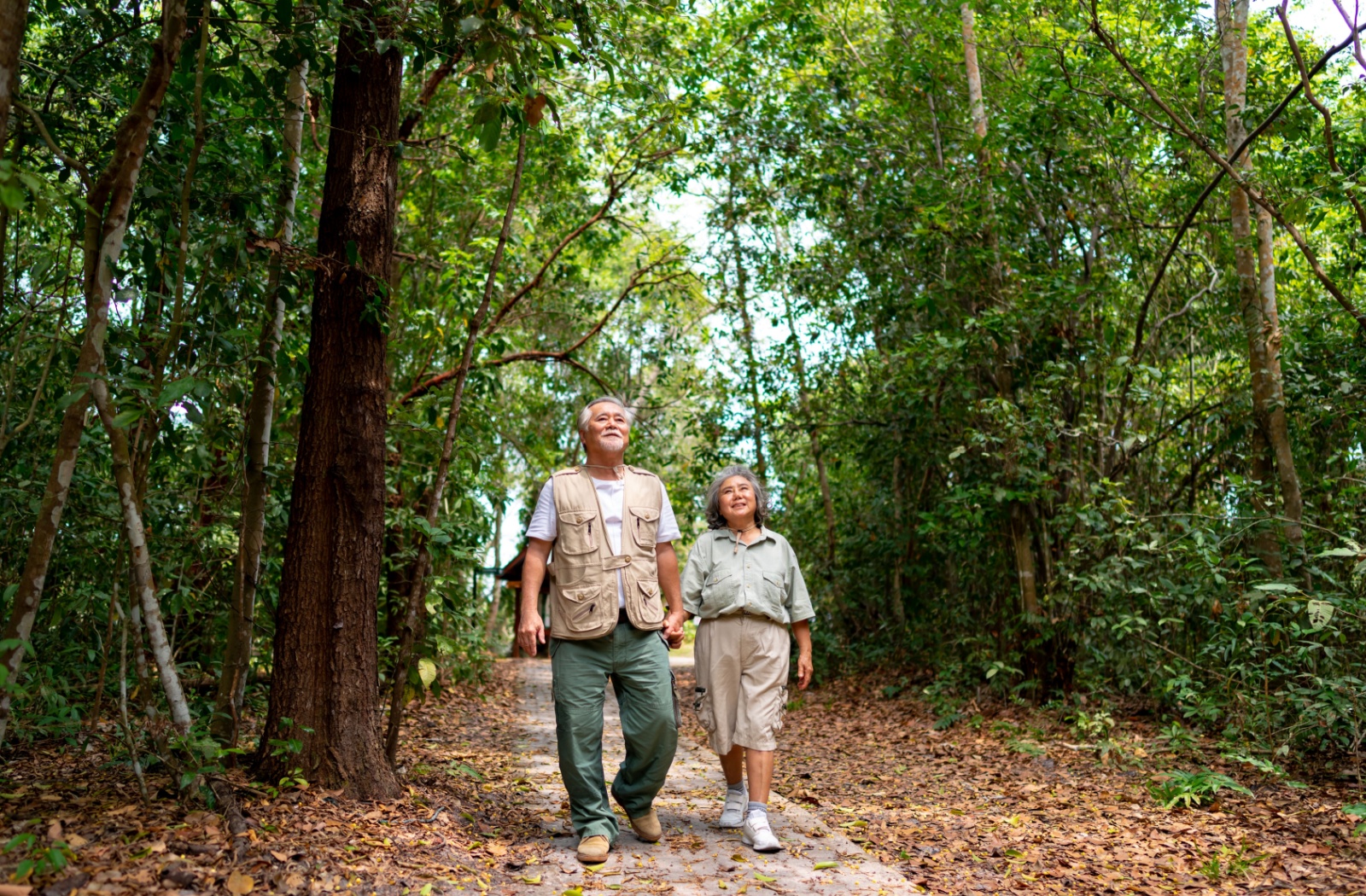 Two seniors hold hands while walking through a lush park with great big trees, enjoying nature and the fresh air